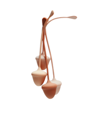 Shop Acorine Online – Premium Quality Guaranteed